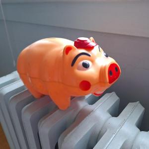 Photo of Piggy Bank