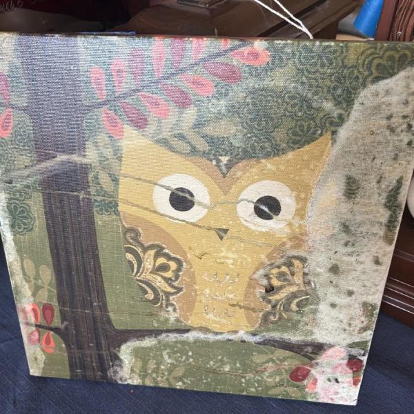 Photo of Sapna Forest Owl Wall Art Print 12"