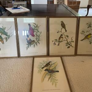 Photo of J. Gould and H.C. Richter bird lithos