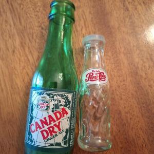 Photo of 2 small soda bottles (S&P)