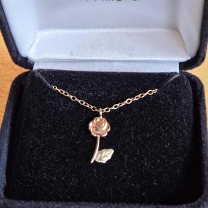 Photo of Gold Filled Chain & Rose Pendant