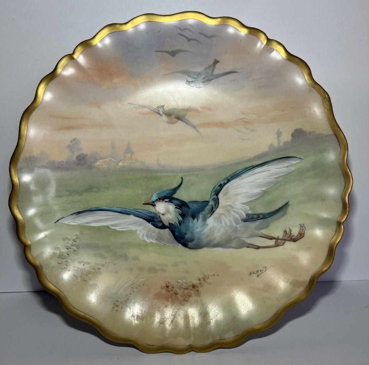 Photo 1 of Limoges France Hand Painted Flying Bluejay Porcelain 9" Plate as Pictured.