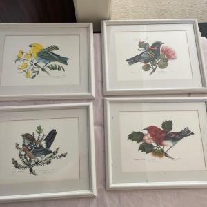 Photo of Hawaiin birds framed art