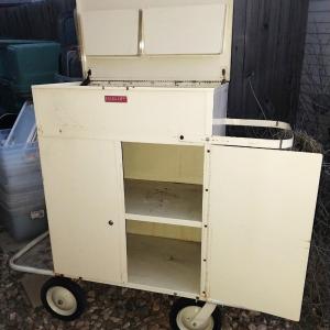 Photo of METAL ROLLING CABINET/CART