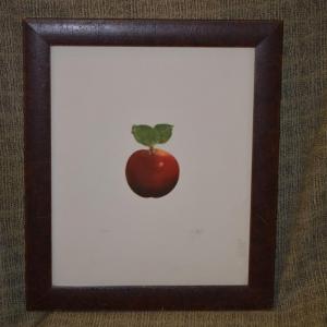 Photo of Framed & Matted Still Life Red Apple Print Signed & Numbered 28”x24”