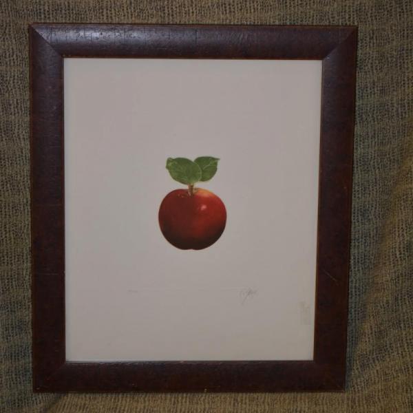 Photo of Framed & Matted Still Life Red Apple Print Signed & Numbered 28”x24”