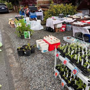 Photo of Garage and plant sale