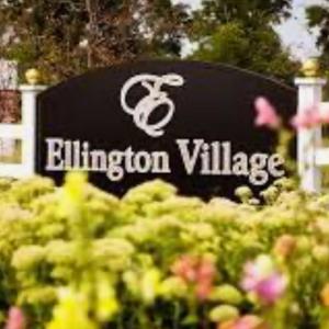 Photo of Ellington Village Community Sale