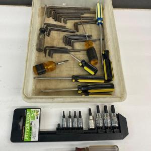 Photo of Torx Sockets, Allen Wrenches, and Screwdrivers