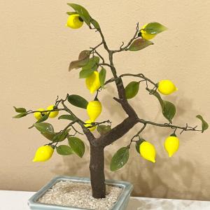 Photo of Jade & Glass Lemon Bonsai Tree