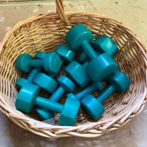 Photo of LOT 204 G: Bollinger Plastic Hand Weights/Dumbbell Collection