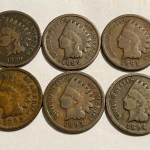 Photo of 1880, 1889, 1891, 1892, 1893, 1894 CIRCULATED CONDITION INDIAN HEAD CENTS AS PIC