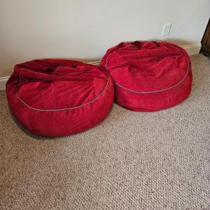 Photo of Pair of Matching Bean Bag Chairs (BD-DW)