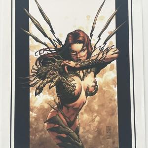 Photo of Witchblade Comic Poster by J.G. Jones 