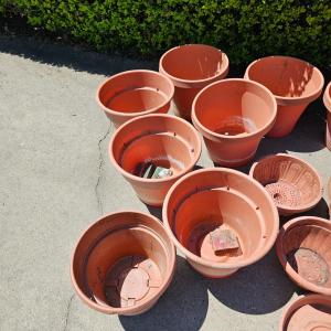 Photo of Collection of Plastic Pots & Trays (G-JS)