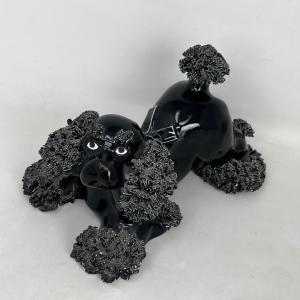 Photo of Spaghetti black poodle