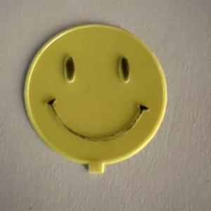 Photo of Happy face disc