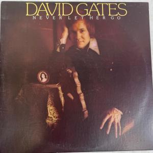 Photo of David Gates Never Let Her Go Vintage Vinyl Record Album 33rpm