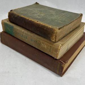 Photo of Lot of 3 Vintage Books - Botany and General Horticulture