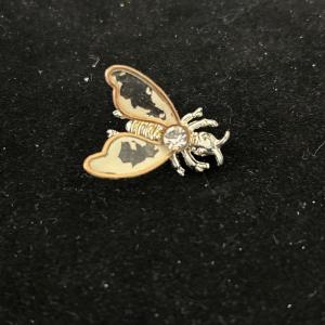 Photo of Vintage bug pin