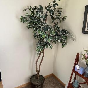 Photo of FAUX POTTED GREEN LEAF TREE