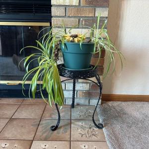 Photo of PLANT STAND WITH PLANTER AND LIVE PLANT