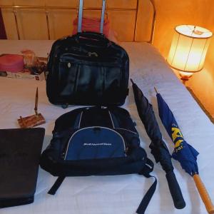 Photo of BRIEFCASE ON WHEELS W/HANDLE, 2 UMBRELLAS, BACKPACK AND MORE