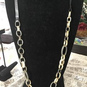 Photo of Ann Taylor Long Multi-Tone Necklace