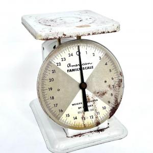 Photo of Vintage Metal American Family Scale Up to 25 Pounds