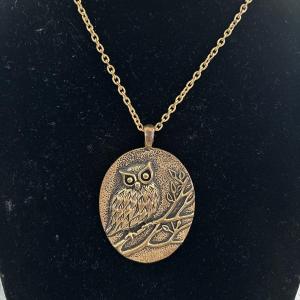 Photo of Vintage bronze toned chain and owl Pendant
