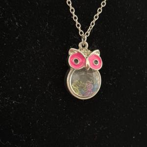 Photo of Hollow owl diamonds inside pendant, silver Tone chain necklace