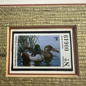 Photo of Duck Print and Stamp - Northern Shoveler