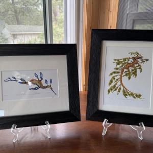 Photo of Framed Watercolor Paintings