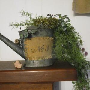 Photo of Metal Watering Can Decor