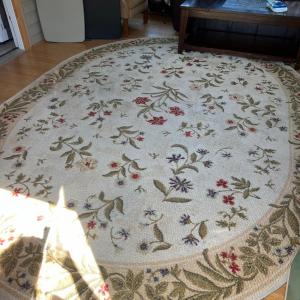 Photo of Large Area Rug