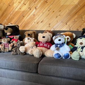 Photo of Stuffy Lot 1- Great to donate for holiday toy drives