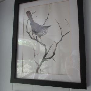Photo of J. F. Lansdowne Bird Print