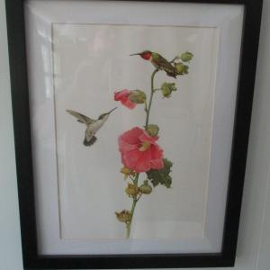 Photo of J. F. Lansdowne Birds Hummingbirds Print