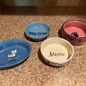 Photo of Cat Bowls