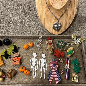 Photo of Holiday Pins and Costume Jewelry