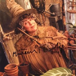 Photo of Harry Potter Miriam Margolyes signed movie photo
