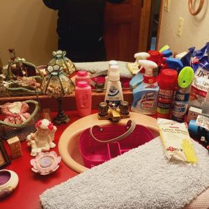 Photo of CLEANING SUPPLIES, TOILETRIES AND DECOR