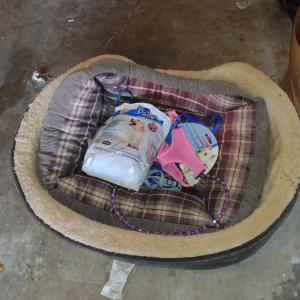 Photo of Collection of Dog Accessories- Beds, Leashes, Harnesses for Extra Small Dog (Chi