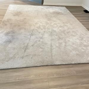 Photo of Large 9’ x 12’ Area Rug (LR-SS)