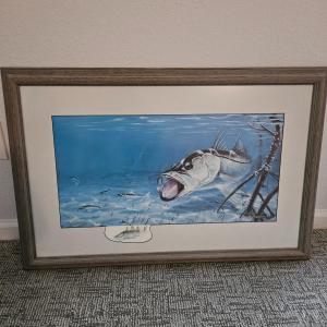 Photo of Thomas Krause Signed and Numbered Snook Print (BLR-DW)