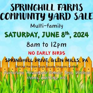 Photo of Springhill Farms Community Yard Sale