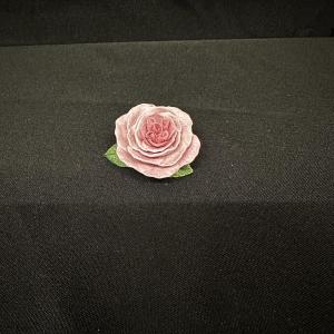 Photo of Garden Roses