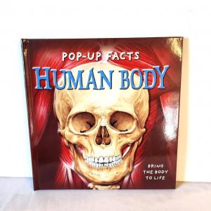 Photo of Lot #25 Pop-Up Book - The Human Body - great illustrations