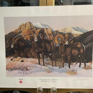 Photo of Rocky Mountain Bighorns Lithograph by Gary Swanson Artist Signed 759/950 18" x 2