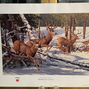 Photo of Pride of Pagosa Lithograph by Paul Bosman Artist Signed 758/950 18" x 24" Unfram